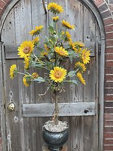 Whimsical Sunflower Tree