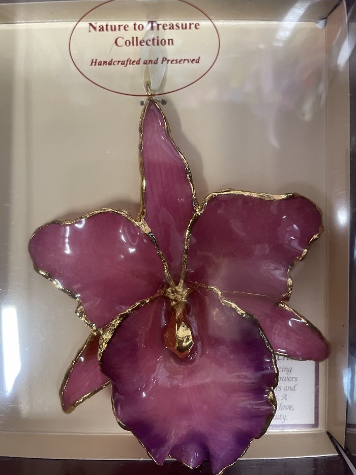 24K GOLD TRIMMED ORCHID