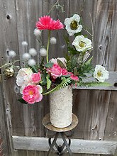 Daisies in the Wind