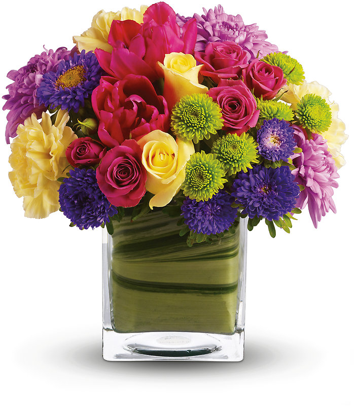 One Fine Day (Cash and Carry only)