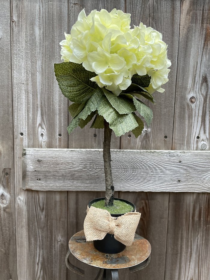 Hydrangea Topiary