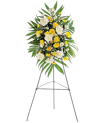 Yellow Dawn Spray