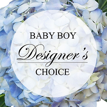Designer Choice Baby Boy