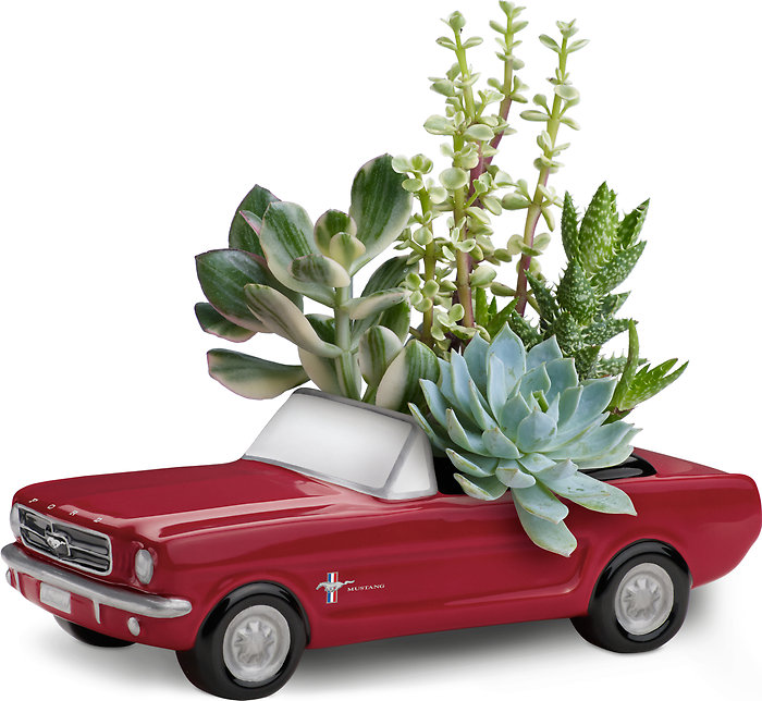 Dream Wheels '65 Ford Mustang