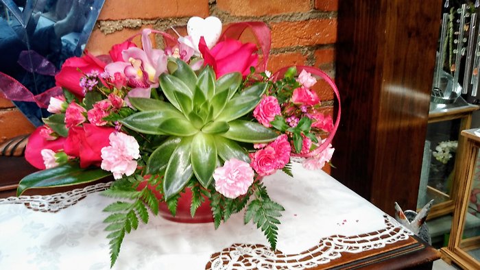 Succulent Fuchsia Extravaganza