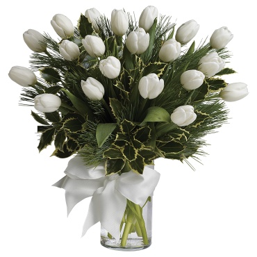 Tulips And Pine