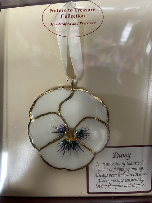24K GOLD TRIMMED WHITE PANSY