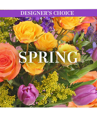 Designer Choice Spring Bright & Bold