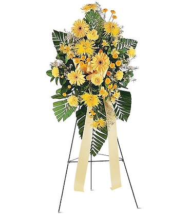 Brighter Blessings Spray