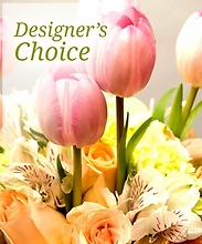Designer Choice Spring Soft Pastel