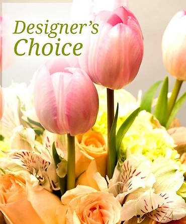 Designer Choice Spring Soft Pastel