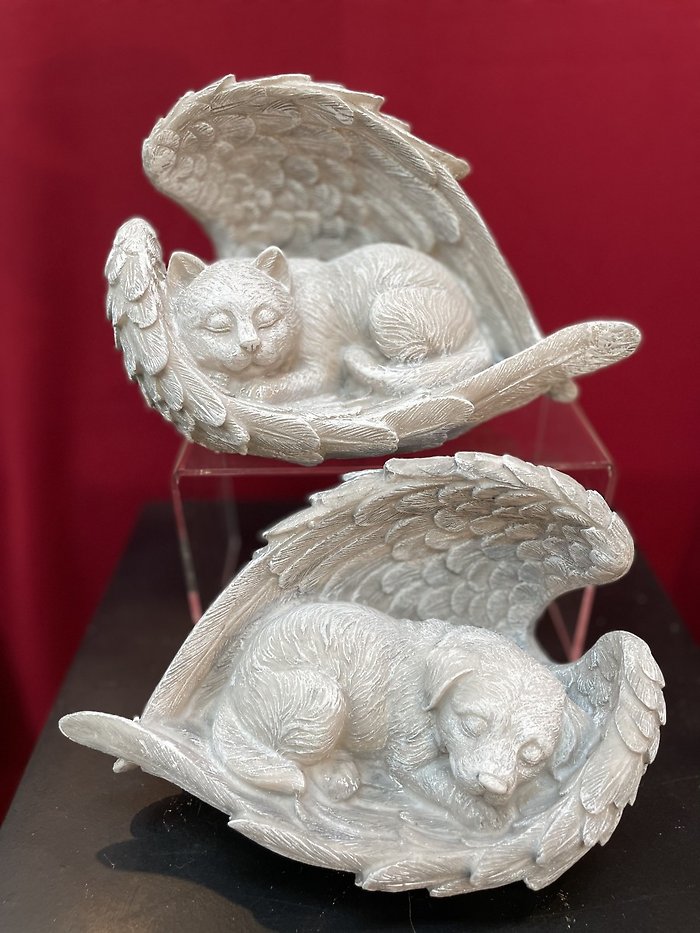 Cat and dog angels