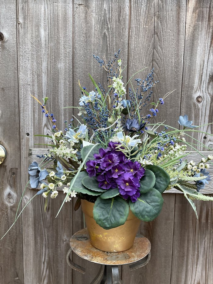 African Violet Splash