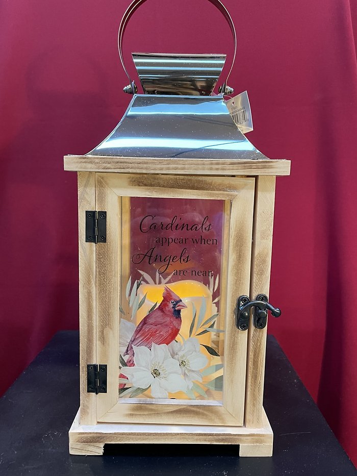 Cardinals appear lantern