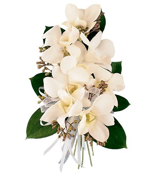 White Dendrobium Pin on Corsage