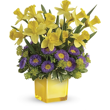 Playful Springtime Daffodil Bouquet