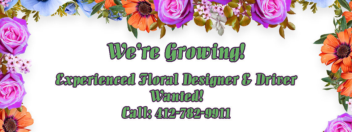 Help wanted