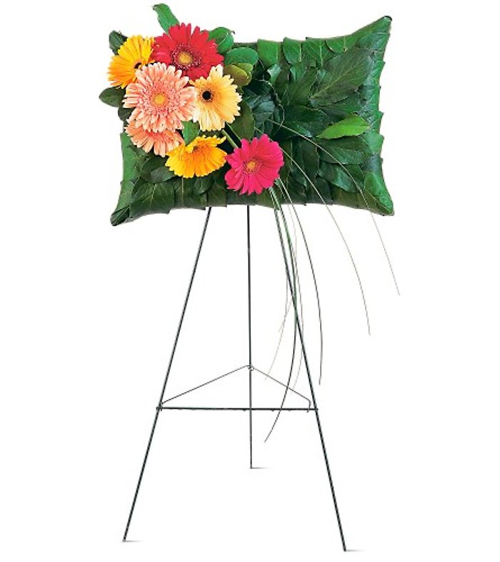 Uplifting Gerbera Pillow