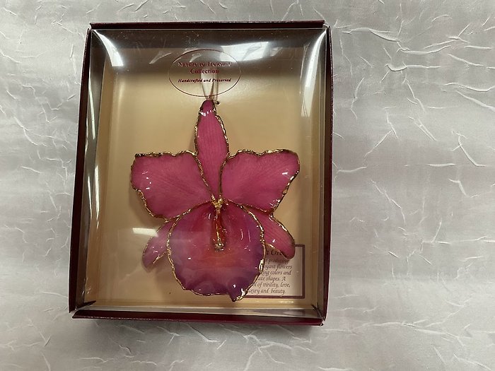 Purple Cattleya Orchid