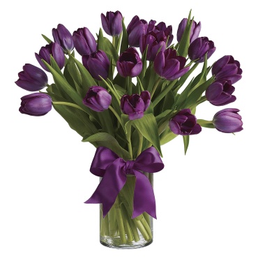 Passionate Purple Tulips