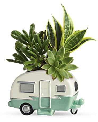 Cool Camper Succulent Garden