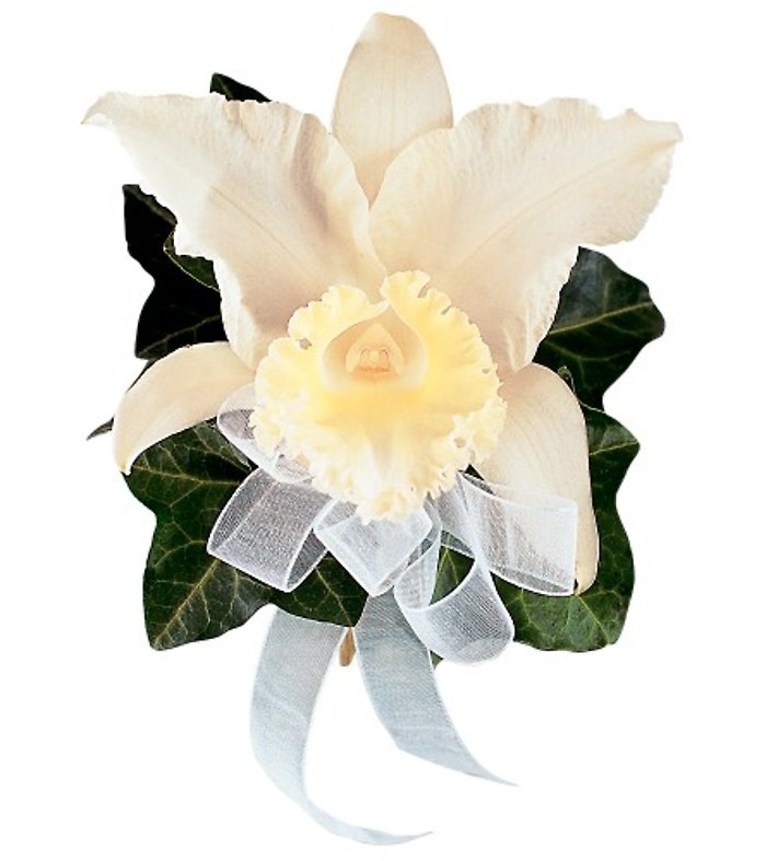 Japhet Orchid Pin on Corsage