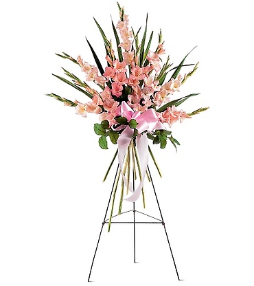 Sentimental Gladiola Spray